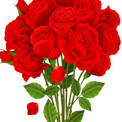 Red Roses