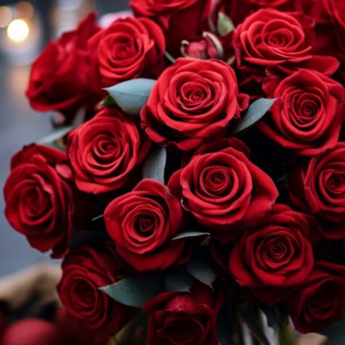 Red Roses